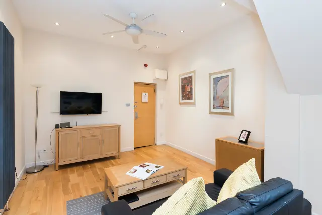 1 bedroom apartment