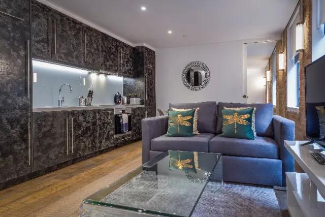 1 bedroom apartment