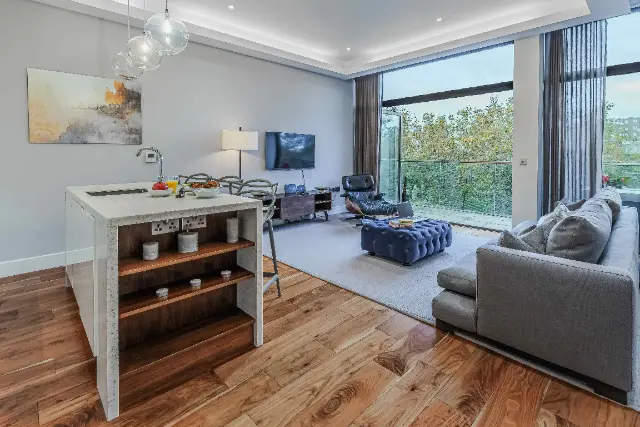 2 bedroom apartment penthouse