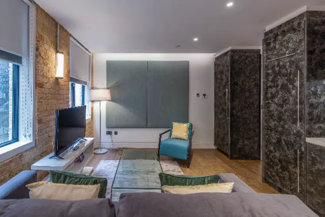 1 bedroom apartment