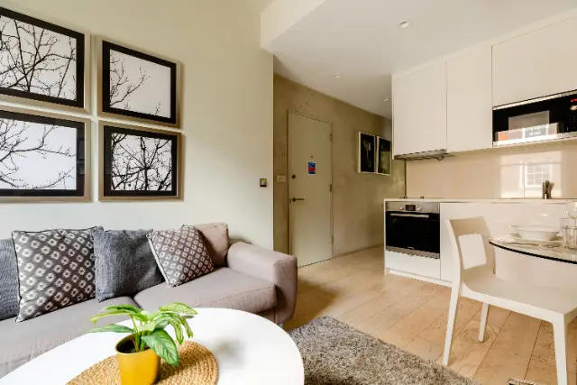 1 bedroom apartment