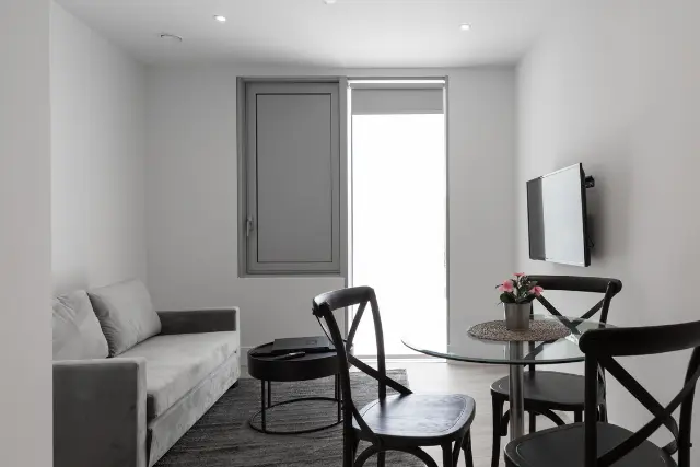 1 bedroom apartment