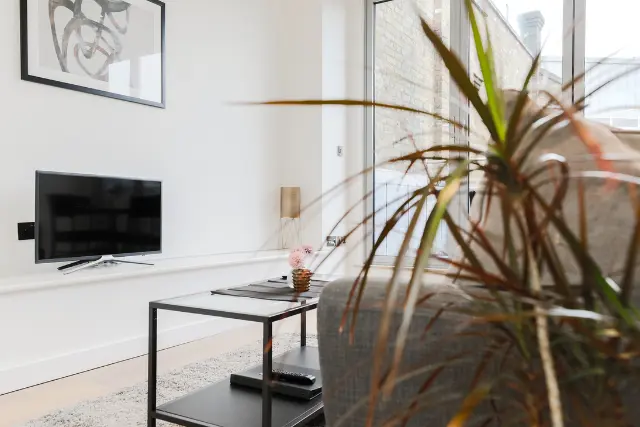 2 Bedroom Penthouse