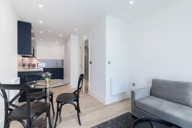 1 bedroom apartment
