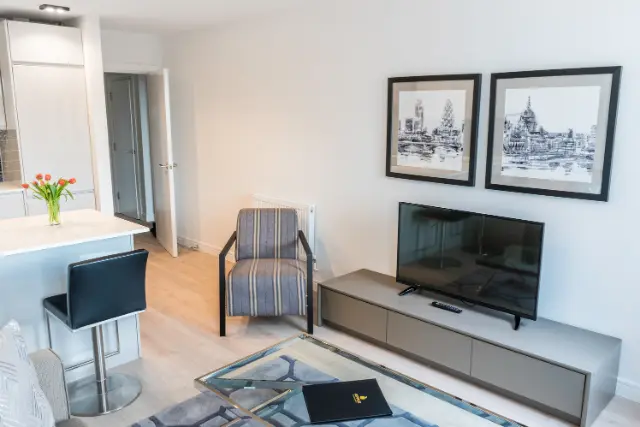 1 bedroom apartment
