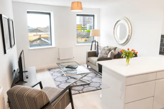 1 bedroom apartment