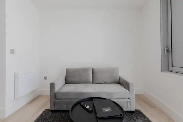 1 bedroom apartment