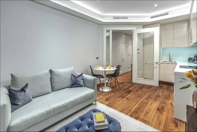 1 bedroom apartment