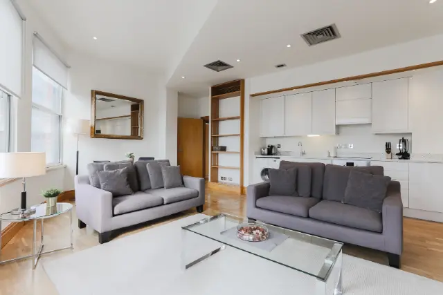 1 bedroom apartment