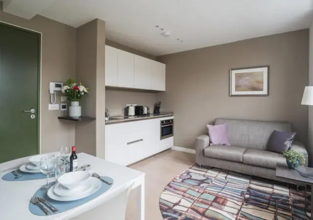 1 bedroom apartment