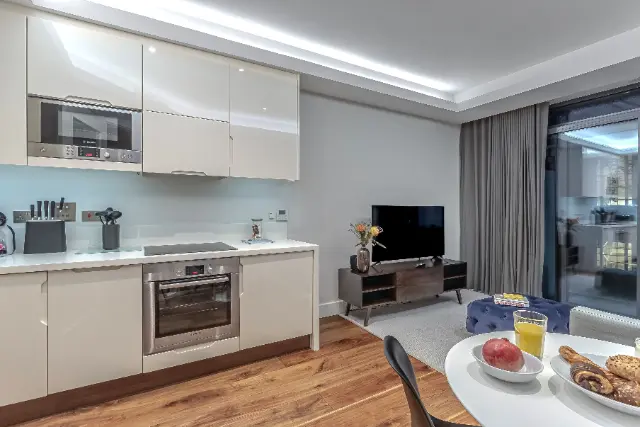 1 bedroom apartment