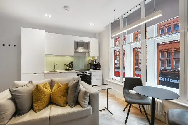 1 bedroom apartment