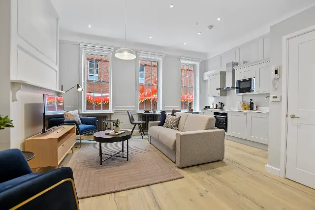 1 bedroom apartment