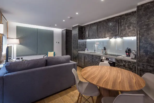 1 bedroom apartment